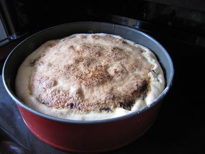 IMG_3377.jpg
