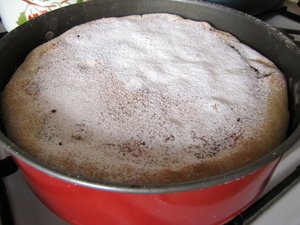 IMG_3379.jpg