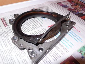 P1030225_1.jpg