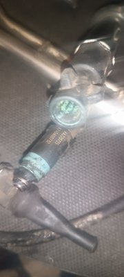 IMG_20250602_052624.jpg