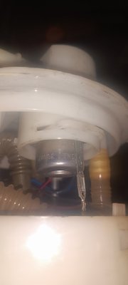 IMG_20250602_053324.jpg
