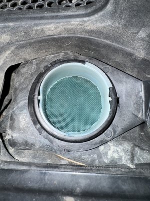 IMG_5081.jpeg