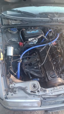 IMG_20250316_121207.jpg