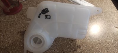 IMG_20250629_160331.jpg