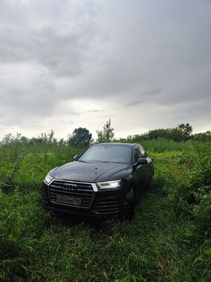 IMG_20250712_163855.jpg