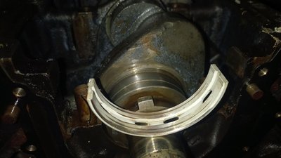 IMG_20250808_185629_750.jpg