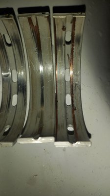 IMG_20250808_185629_180.jpg