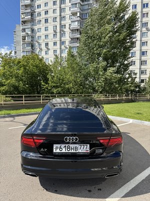 IMG_3435 — крупный размер.jpeg