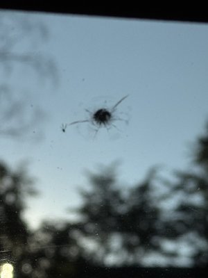 IMG_2900.jpeg