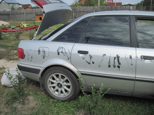 IMG_3370_1.jpg