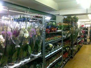02032011063.jpg