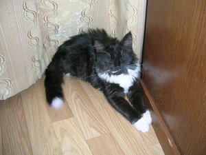 DSCN7446.JPG