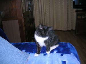 DSCN7448.JPG