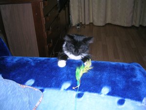 DSCN7450.JPG