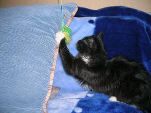 DSCN7451.JPG