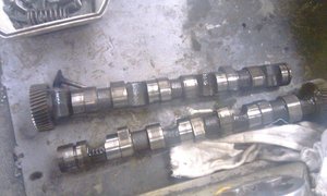 IMAG0277.jpg