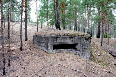 scale_1200-3 (1).jpeg