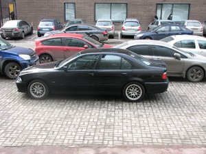 IMG_5447.jpg
