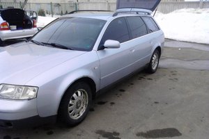 IMG_20110320_121958.jpg