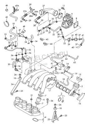 Схема шлангов.png
