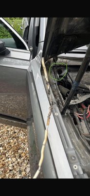 IMG_1623.jpeg