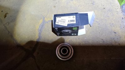 IMG_20260504_205402.jpg