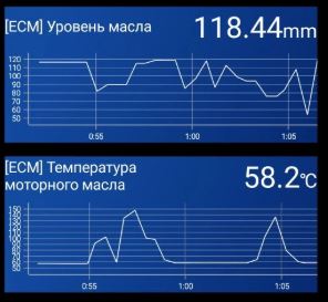 КарСканер.JPG