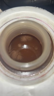 IMG_1399.jpeg