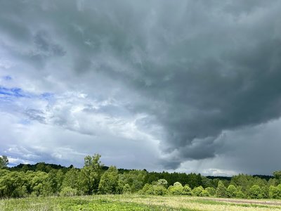 IMG_0967.jpg