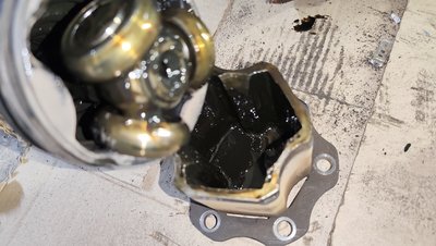 IMG_20260524_102638.jpg