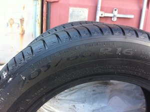 IMG_1598.jpg