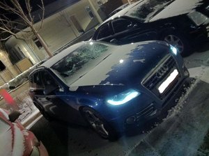IMG_0222.jpg