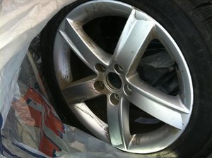 IMG_0232.jpg