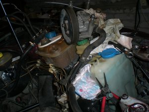 CIMG0155.jpg