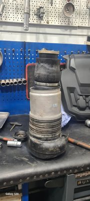 3b662547-6aab-43ed-8db4-5ee469e0f7f2.jpg