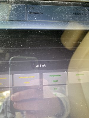 IMG_7271.jpeg