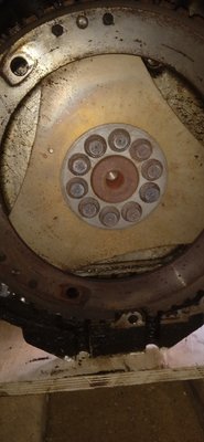 IMG_20260925_081646.jpg