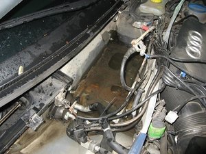 88cd36147e52d13c-main.jpg