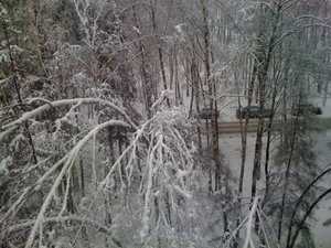 IMG_0110.jpg
