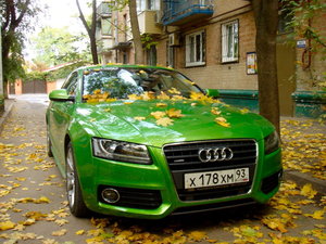 audi java green.jpg