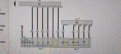 IMG_20261026_114856.jpg