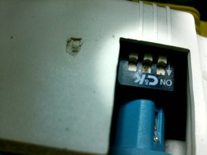 IMG0043A.jpg