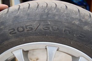 DSC_0355.JPG