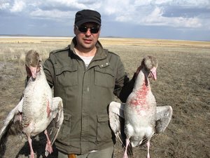 IMG_0106.jpg