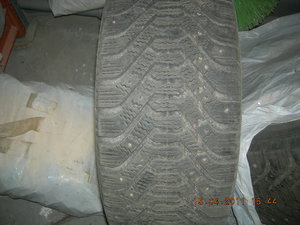 DSCN5881.jpg