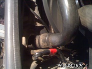 IMG363.jpg