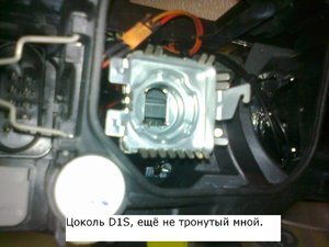 06.jpg