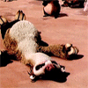 185.gif