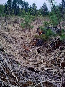 Фото0336.jpg