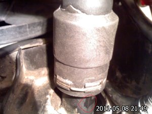 IMG379.jpg